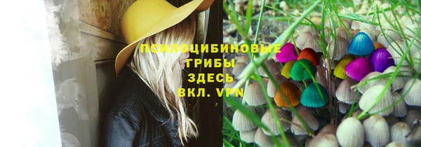 гашик Арсеньев