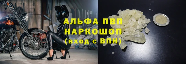 гашик Арсеньев