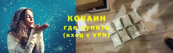 гашик Арсеньев