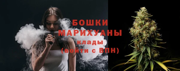 гашик Арсеньев