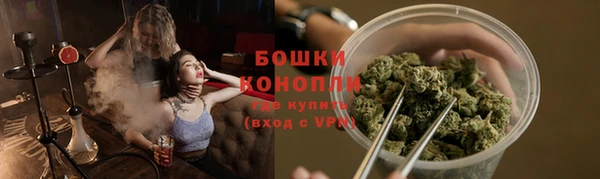 трава Армянск