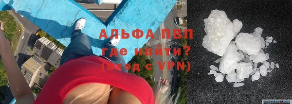 гашик Арсеньев