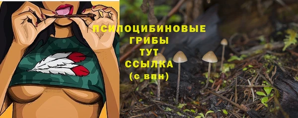 гашик Арсеньев