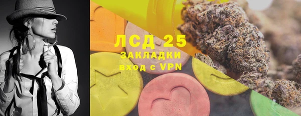 гашик Арсеньев